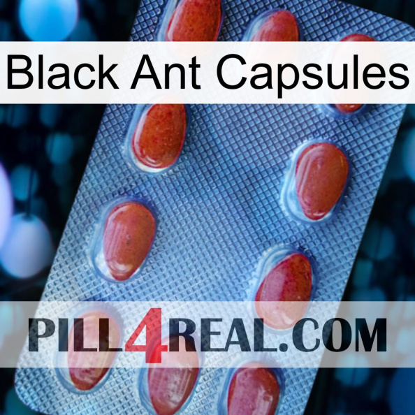 Black Ant Capsules 06.jpg